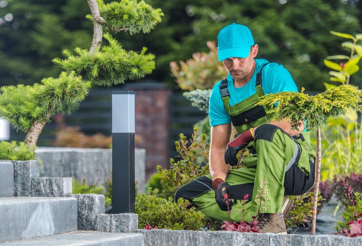 Carey's Great Lawn|Landscaping Installation Services  