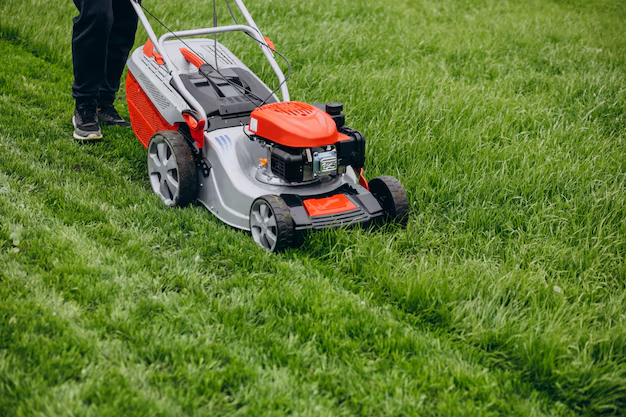 Lawn Aeration